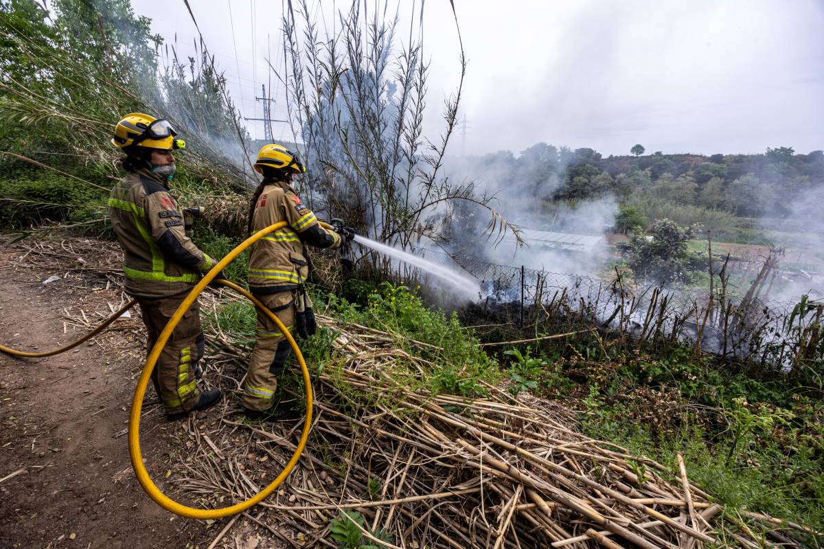 Incendi de vegetació al parc de la Clota