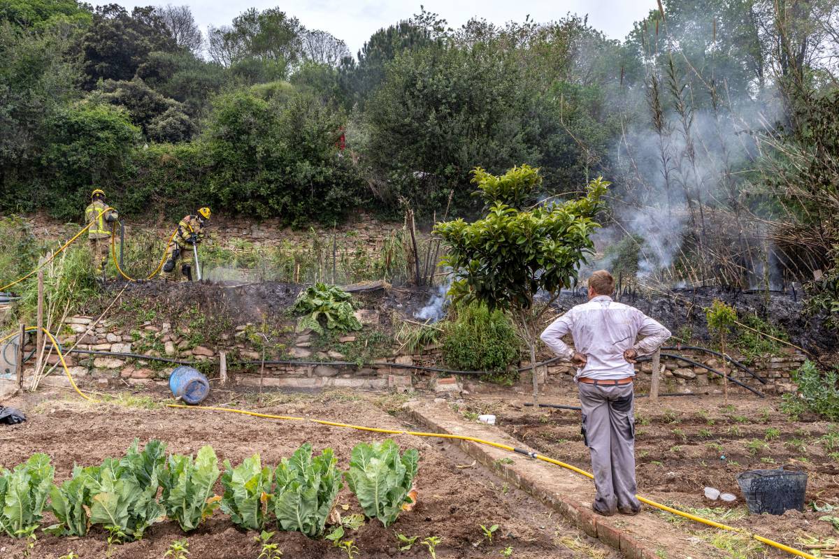 Incendi de vegetació a Can Puiggener - JUANMA PELÁEZ Incendi de vegetació a Can Puiggener
