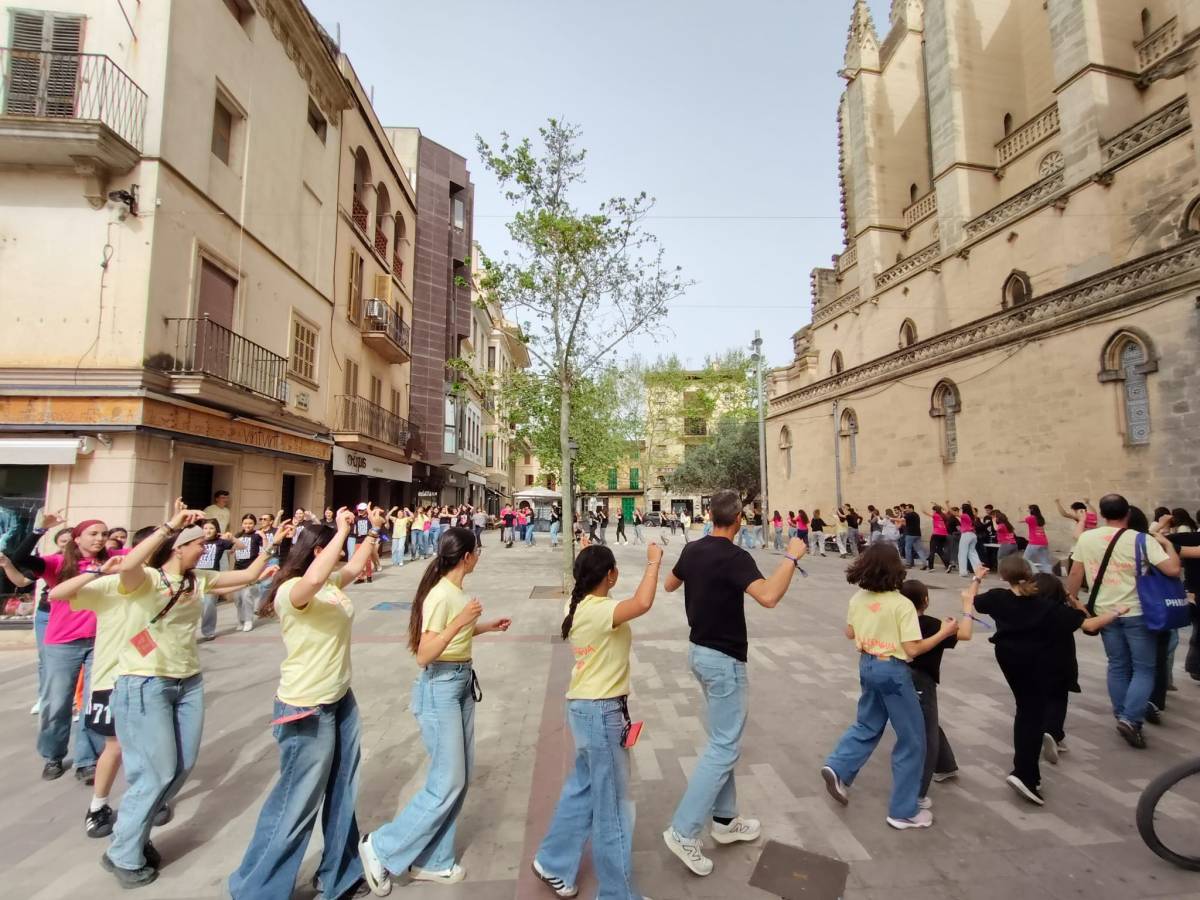 Acampallengua - Acampallengua