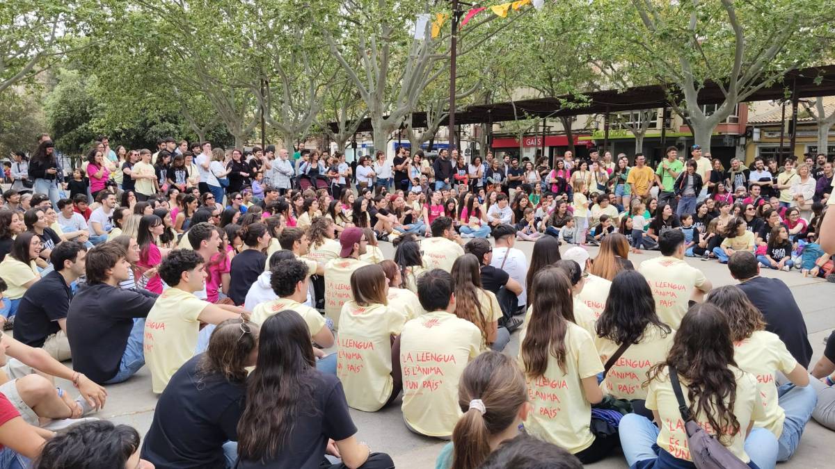 Acampallengua - Acampallengua