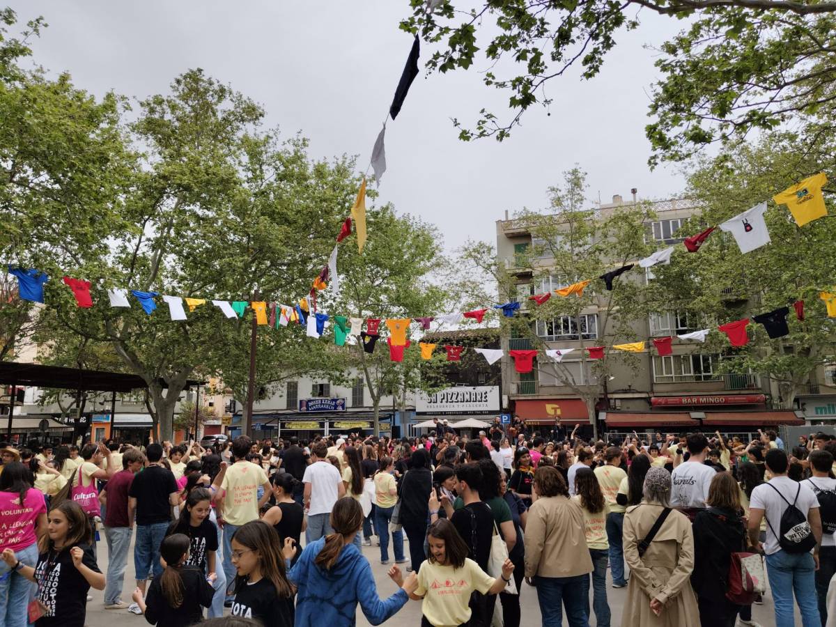 Acampallengua - Acampallengua