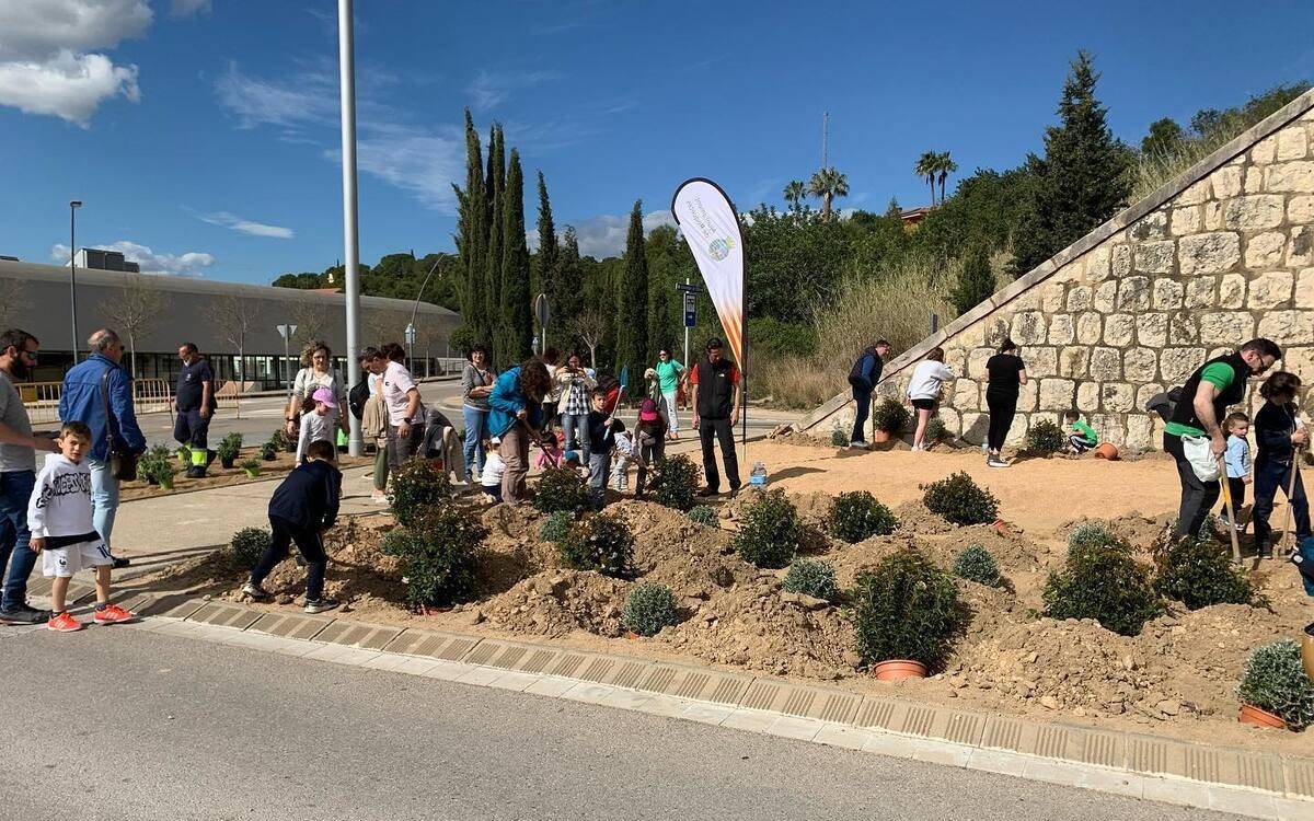 Roquetes impulsa una plantada solidària en una zona afectada per l’incendi de Xerta