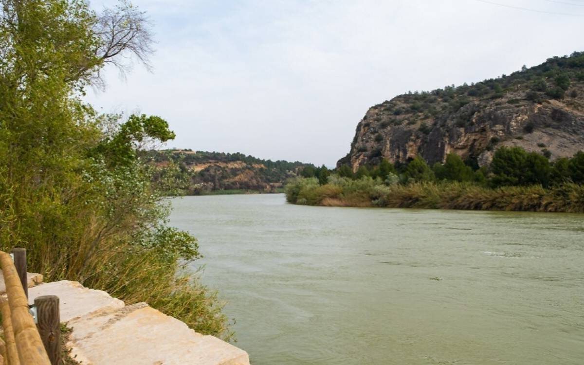 Adjudicades les obres d'una nova zona del regadiu Xerta-Sénia per 18,5 milions