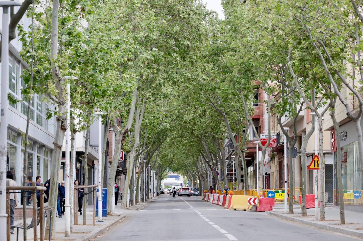 Plataners a x - Juanma Peláez Plataners a x