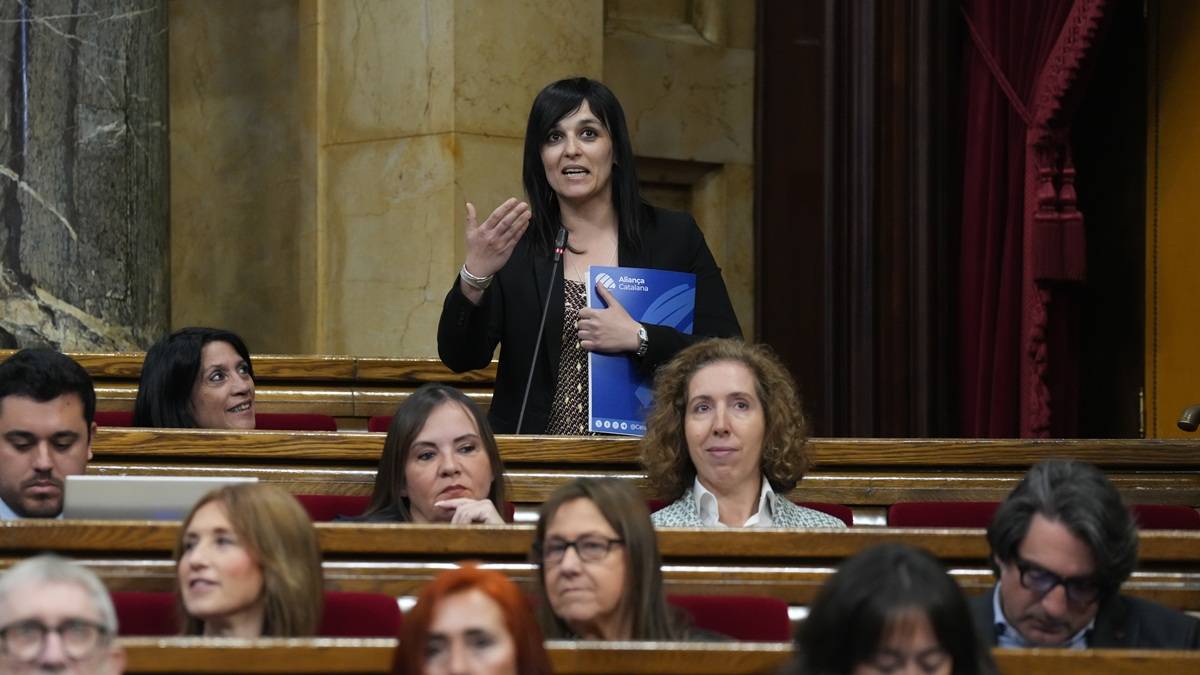 Orriols provoca el Parlament i celebra que Illa hagi desarticulat l'oposició a Ripoll