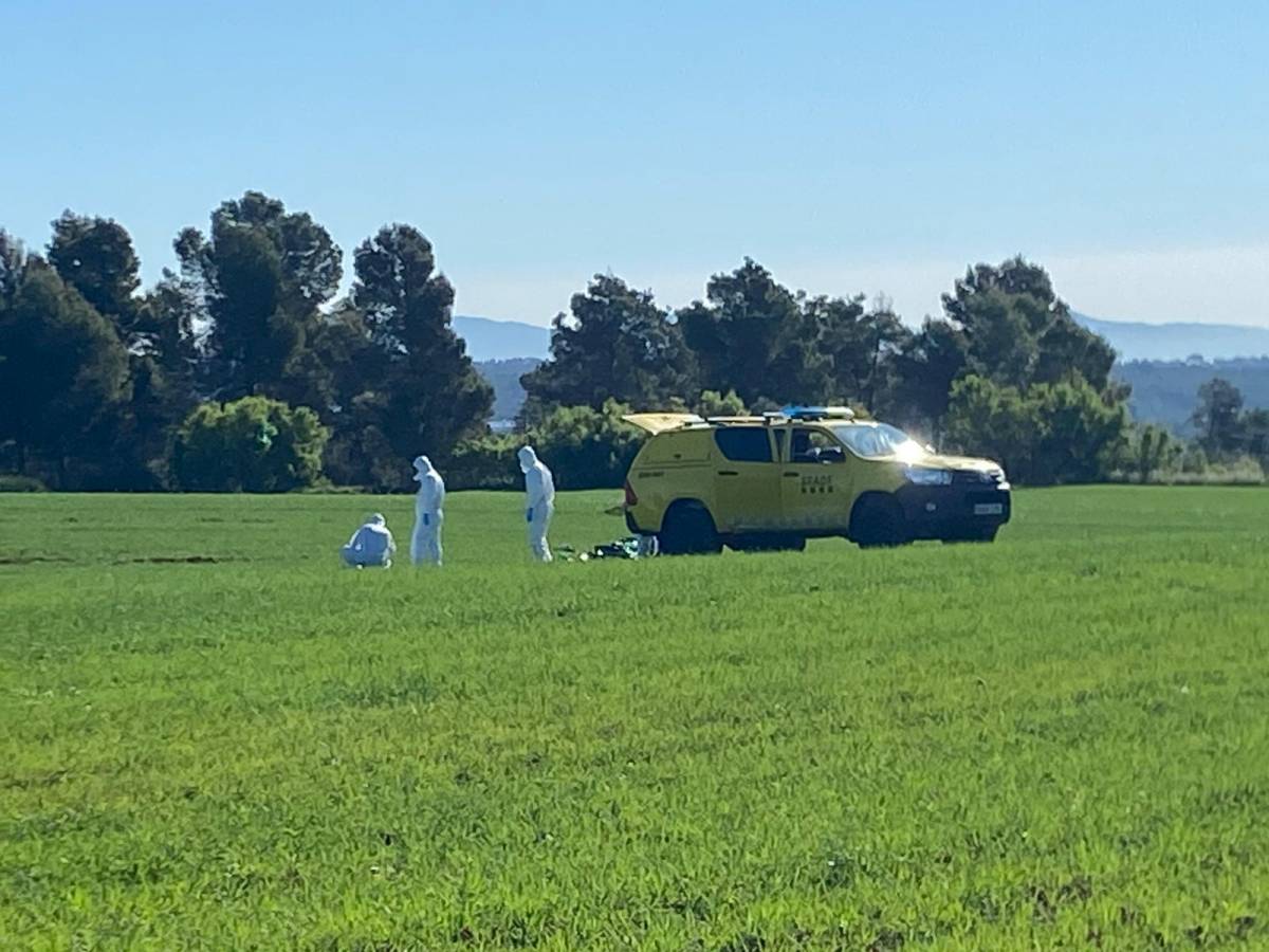Troben un porc senglar mort a pocs metres del bosc de Can Deu