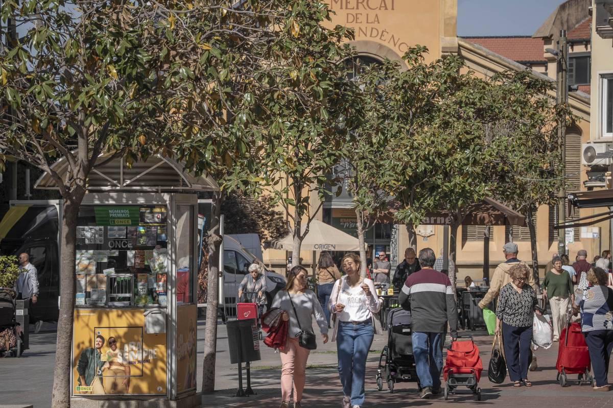 Terrassa segueix creixent i arriba als 236.101 habitants