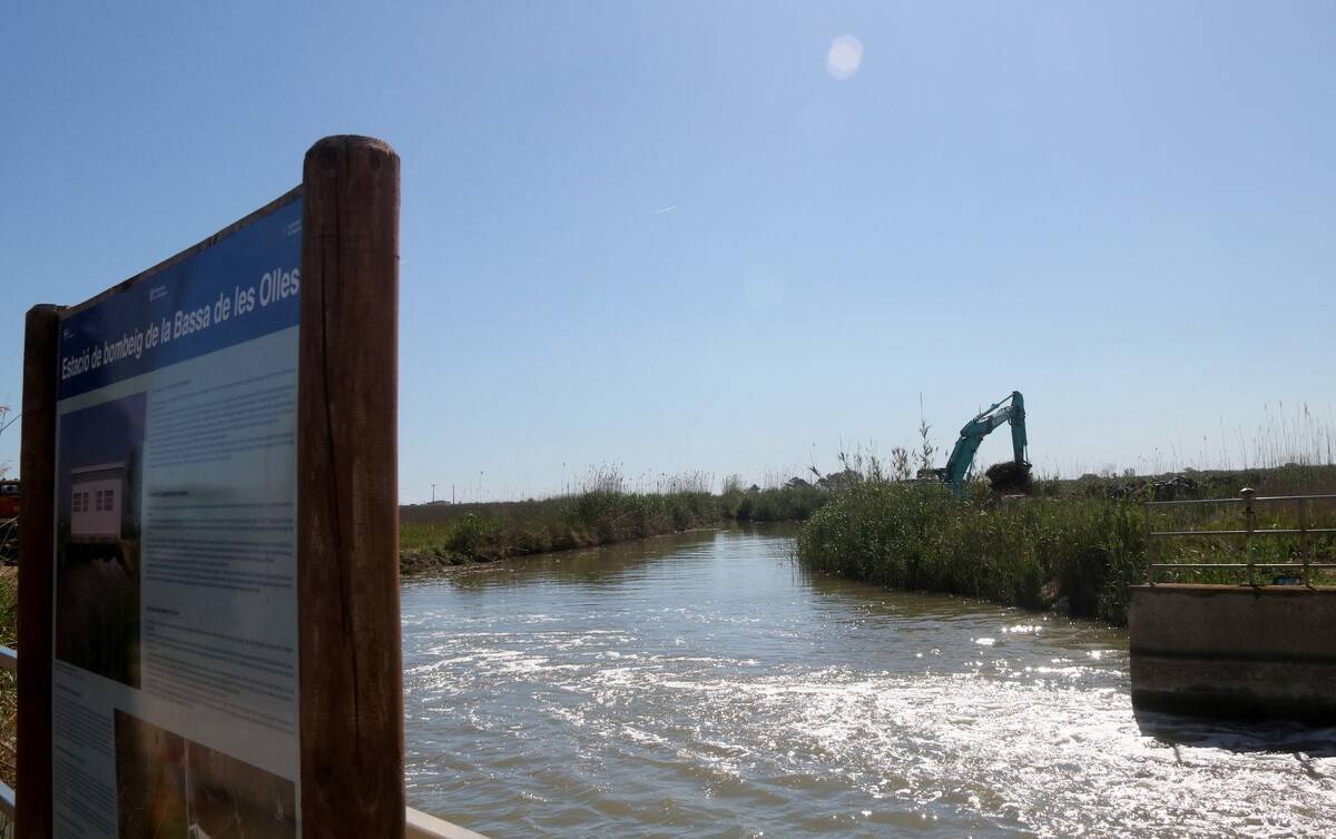 Iniciats els treballs per millorar l'estat ecològic i ambiental de la bassa de les Olles