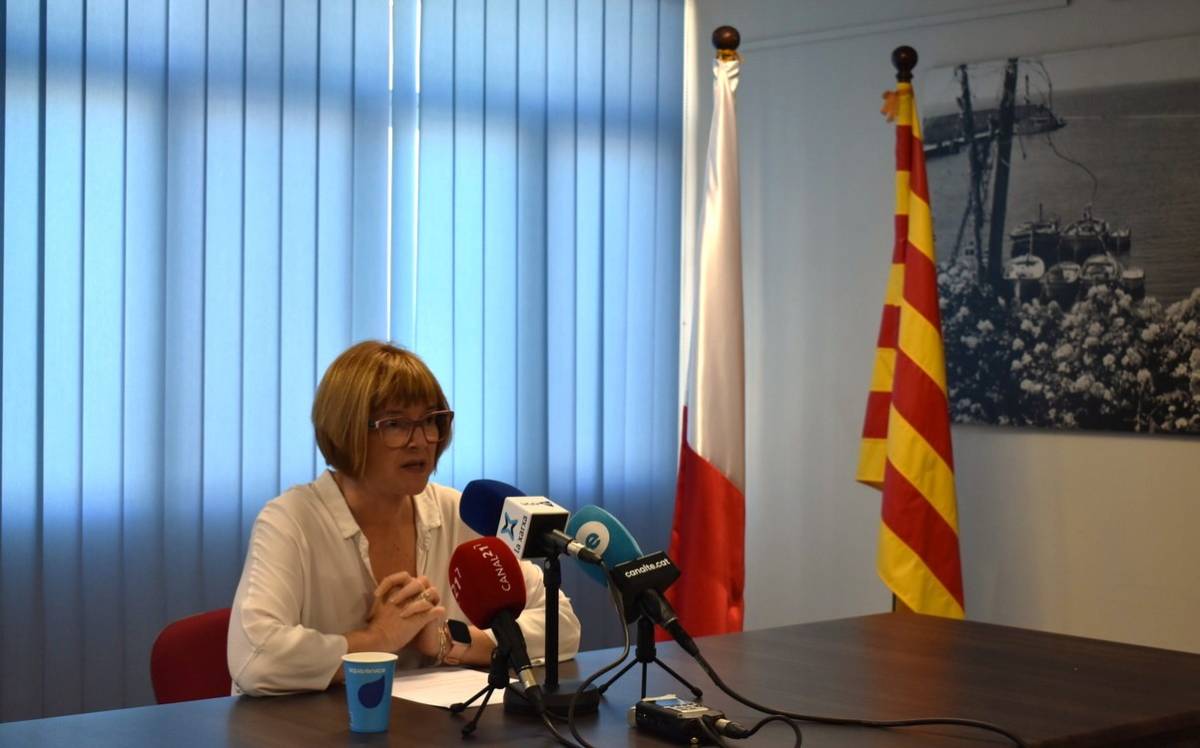 Del Amo carrega contra la moció de censura: «No es pot sostenir el relat d’ingovernabilitat»