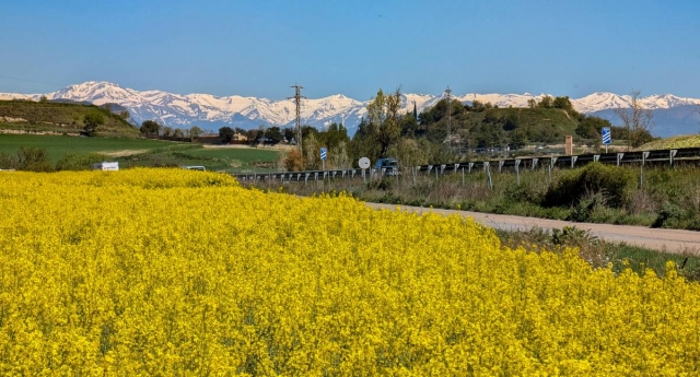 El temps d'aquest dijous: temperatures primaverals per sobre dels 22 graus