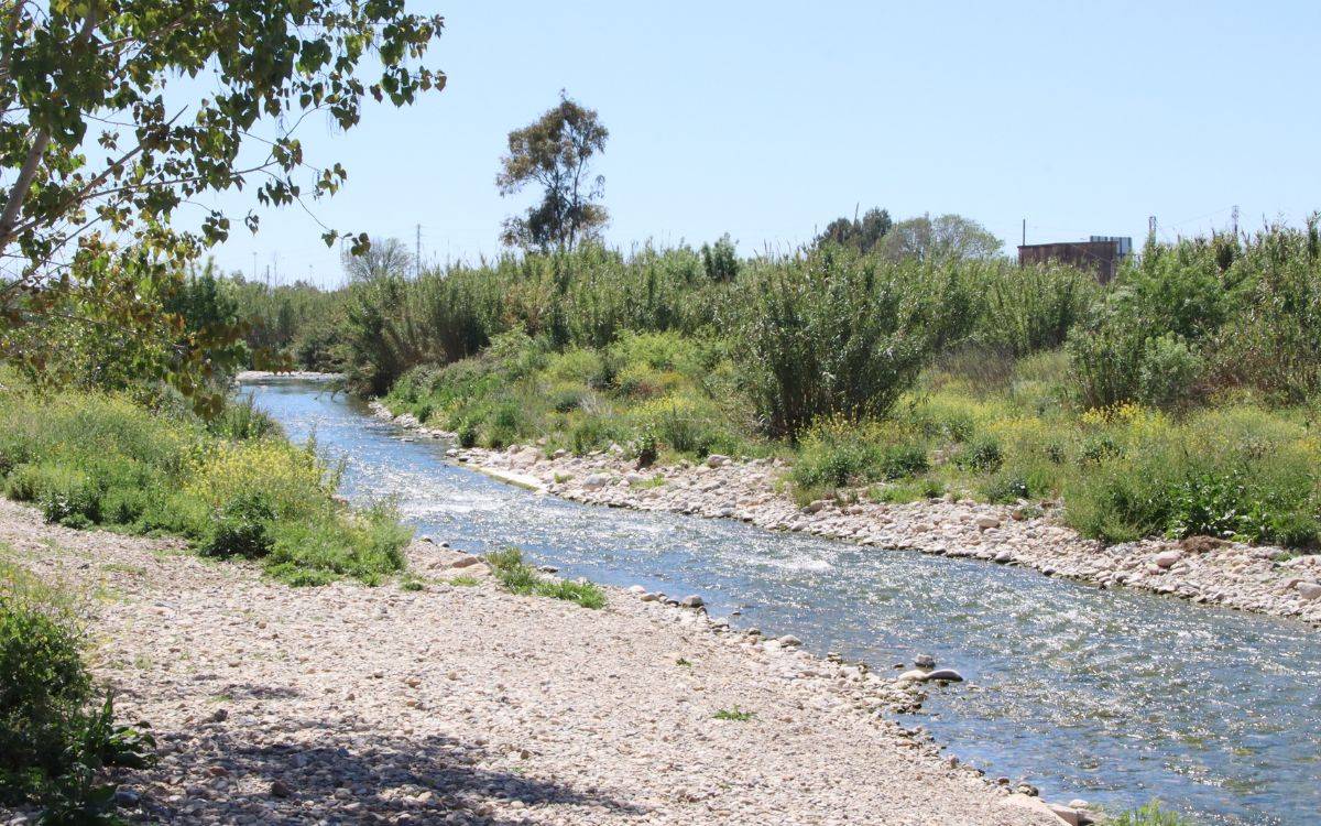 L'Ajuntament de Tarragona enllesteix el projecte Greenbelt'26 de recuperació d'espais naturals