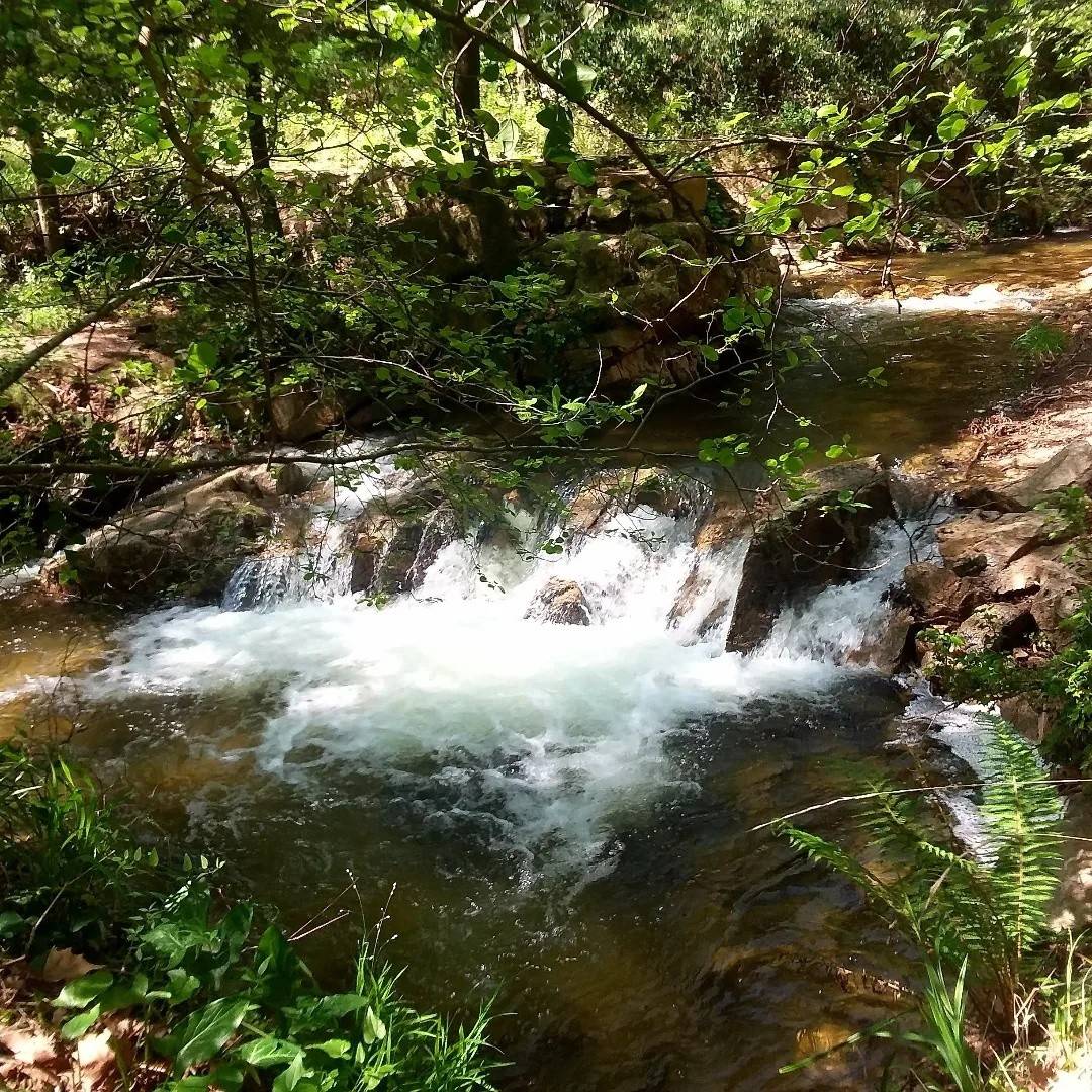 Més de mig any sense aigua potable: Gualba prepara un pla d'ajuts