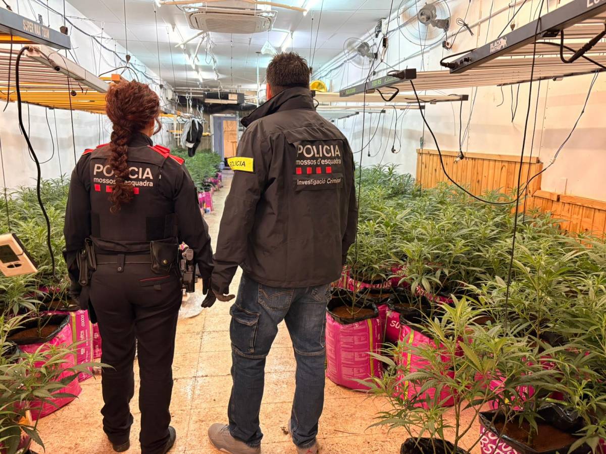 FOTOS | Operatiu policial contra el tràfic de drogues en un immoble del Centre de Sabadell