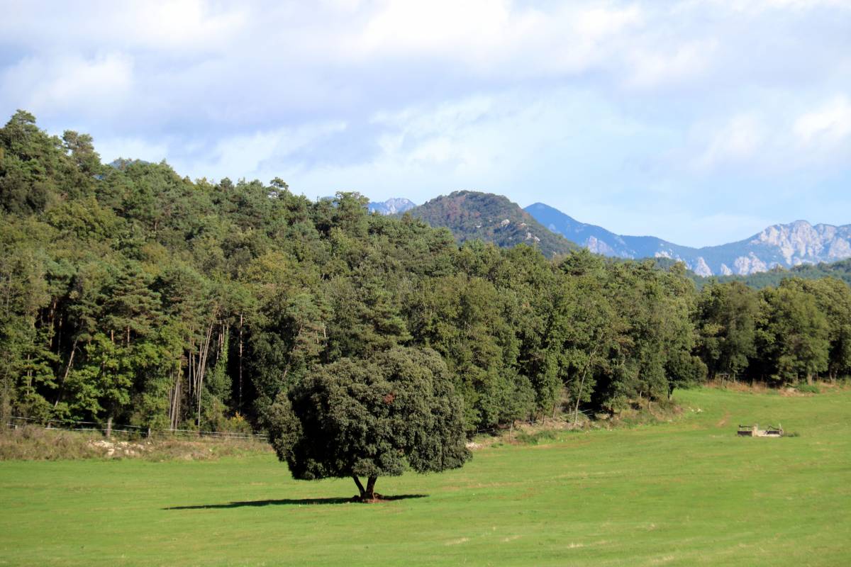 Els opositors a la central de la Baells en reclamen al Parlament la suspensió cautelar