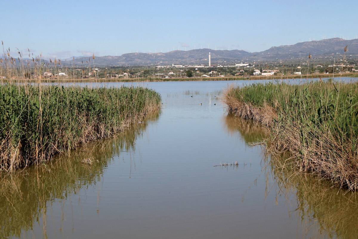 Forestal Catalana licita la plataforma de monitoratge de les basses del delta de l’Ebre per 1,33 milions