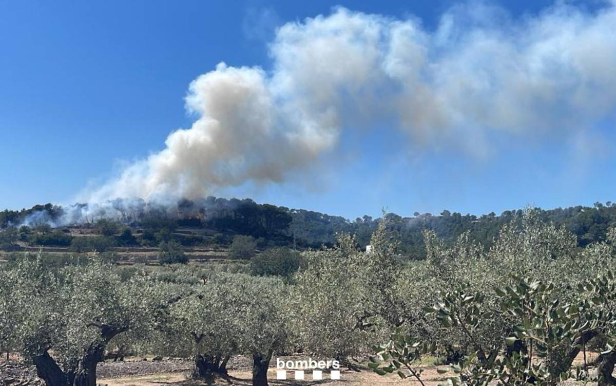 Estabilitzat un incendi de vegetació forestal a l'Ametlla de Mar