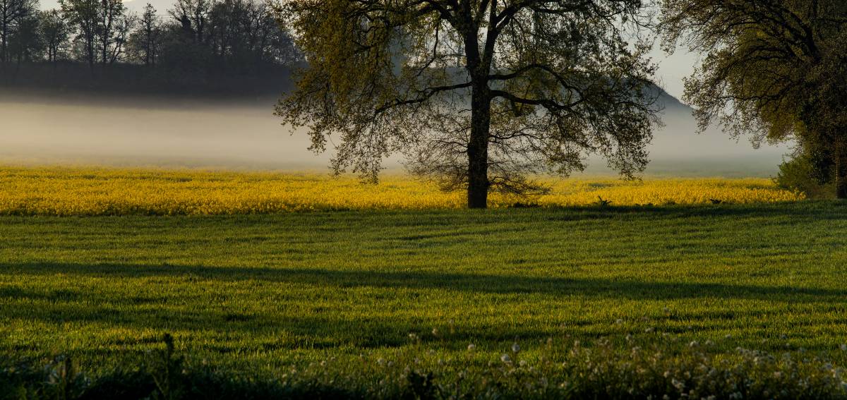 El temps d'aquest divendres: augmenten les temperatures fins als 28 graus