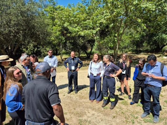 Catalunya impulsa dos projectes internacionals sobre calor extrema i gestió forestal sostenible