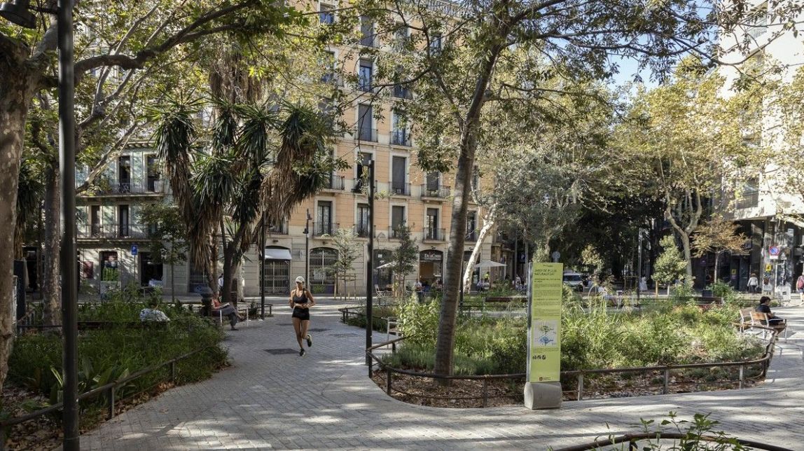 El TSJC confirma la sentència contra l’eix verd del Consell de Cent