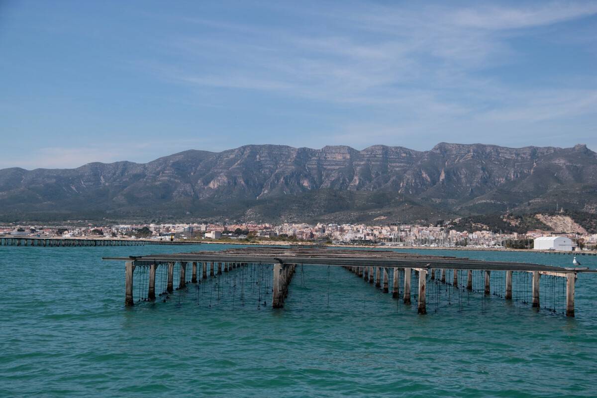 En marxa el pla del Govern per descarbonitzar el sector aqüícola del delta de l’Ebre amb 5 milions