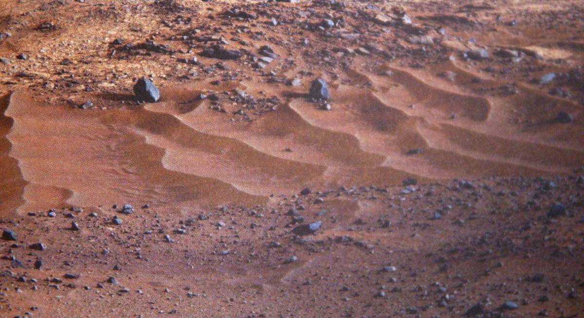 Un cafè amb llet de civada  a Mart, amb Martí Madaula