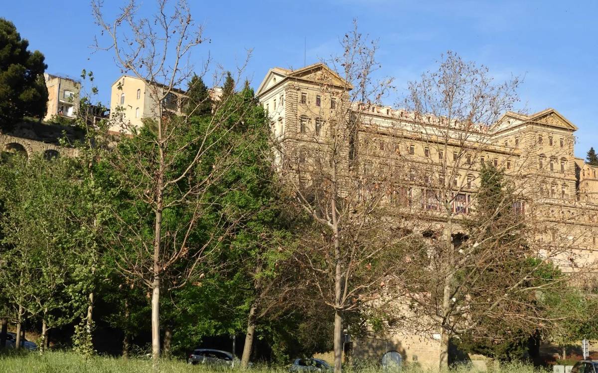 Denuncien la mort de vint arbres al peu de la Seu per un nou vessament del col·lector de salmorres