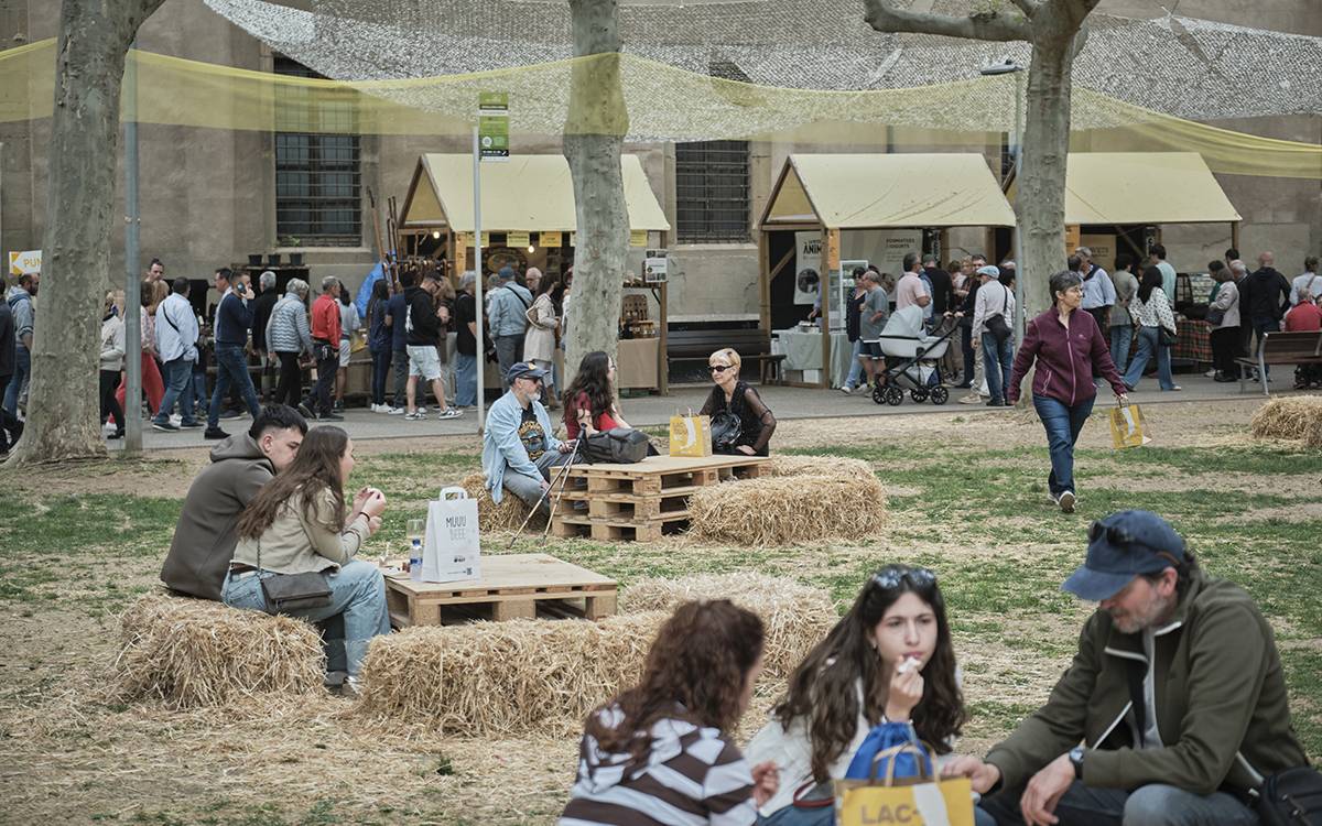 Lactium de Vic 2026.