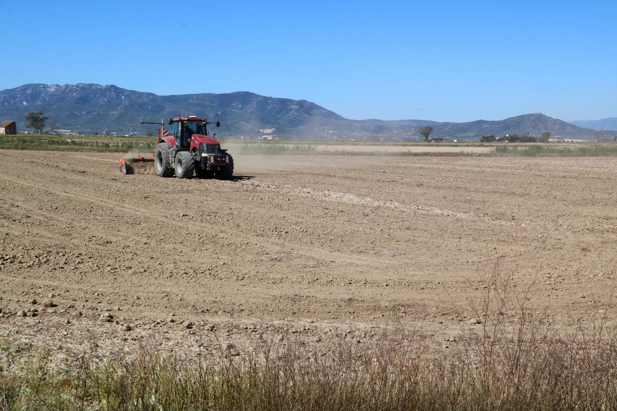 Arrossaires amb els ajuts bloquejats per deutes reclamen solucions per no abandonar els camps