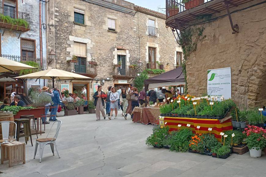 XXI Fira de les Herbes