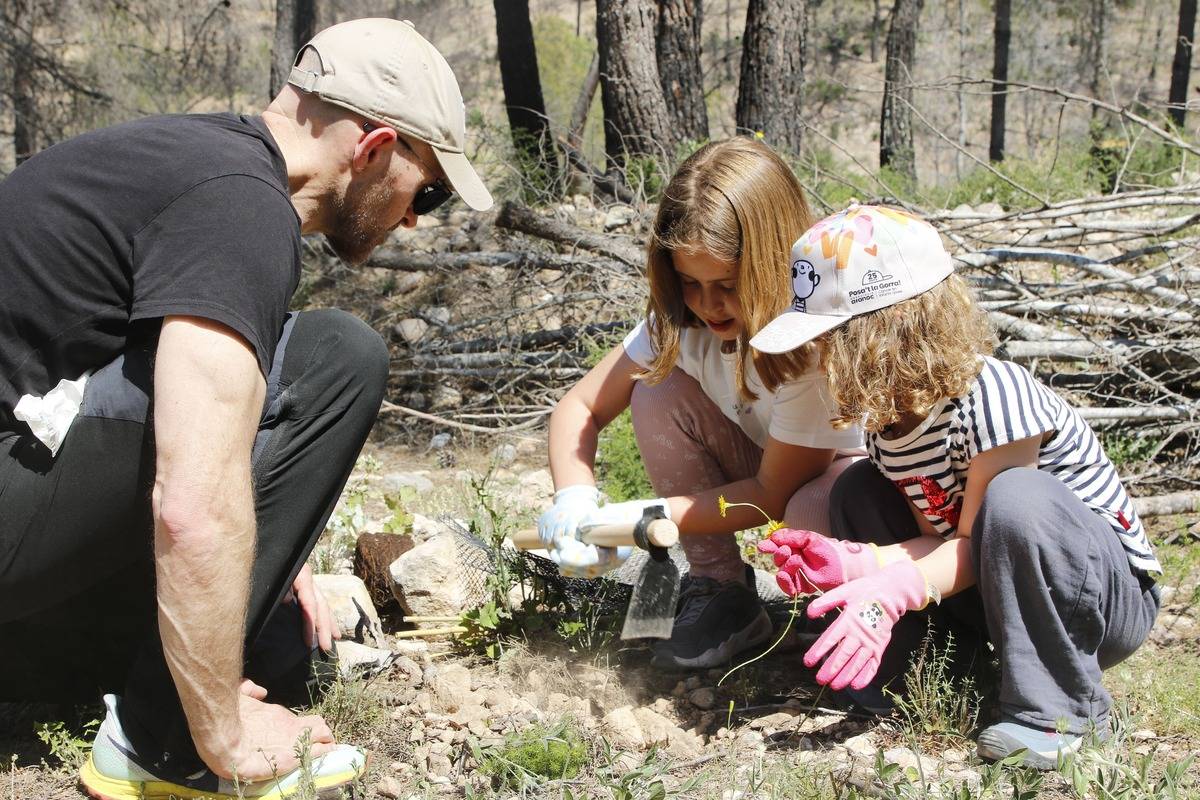 Més de 200 persones planten arbres per recuperar la zona cremada per l'incendi a Xerta