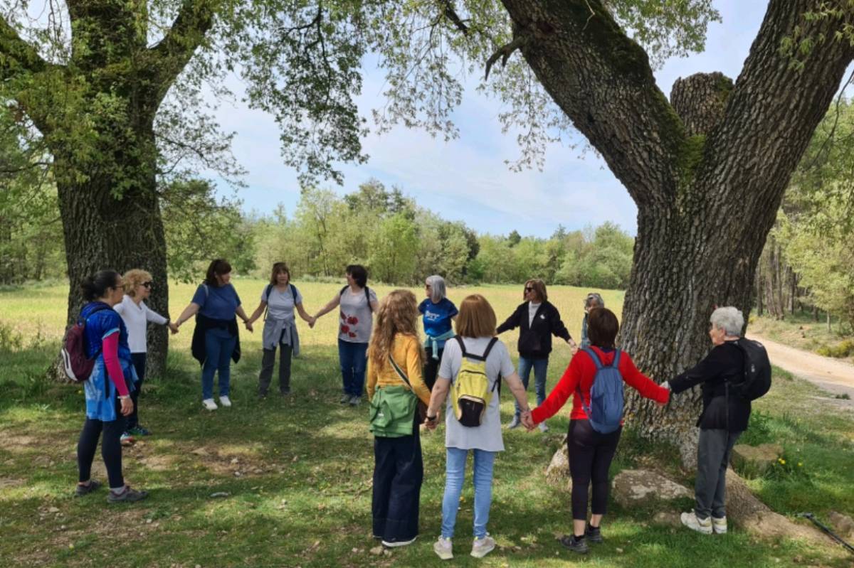 Fènix organitza un «bany de bosc» conjuntament amb el Centre Sanitari de Solsona