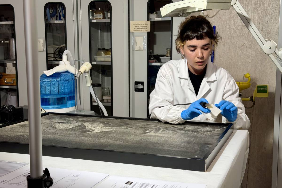 Col·lecció Nacional de la Generalitat - ACN