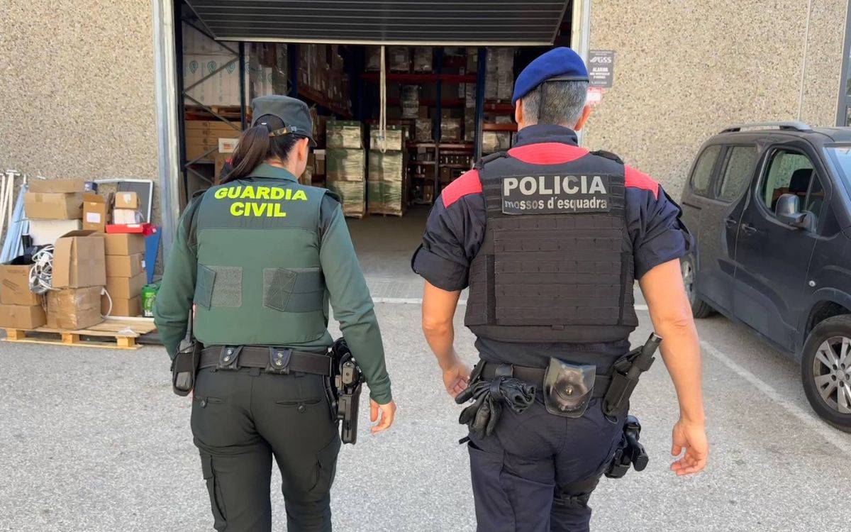 Dispositiu de Mossos i Guàrdia Civil a Tarragona contra el tràfic de marihuana i el blanqueig de capitals