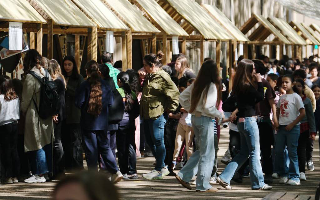 Els alumnes han presentat els seus projectes artístics al parc Jaume Balmes de Vic.