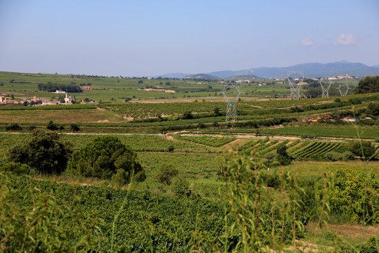 Aquest és el poble més petit (en superfície) de Catalunya: 40 hectàrees