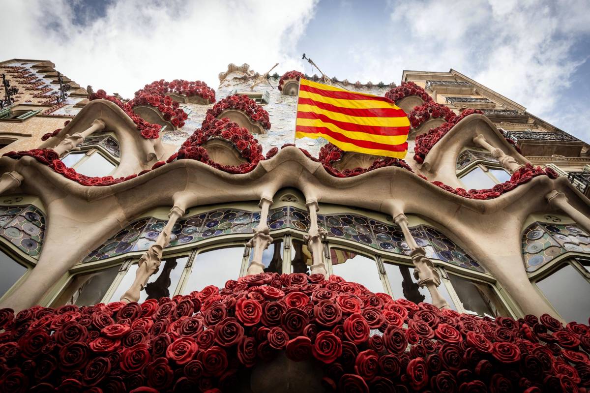 Sant Jordi 2026, matar el drac amb la defensa de la llengua