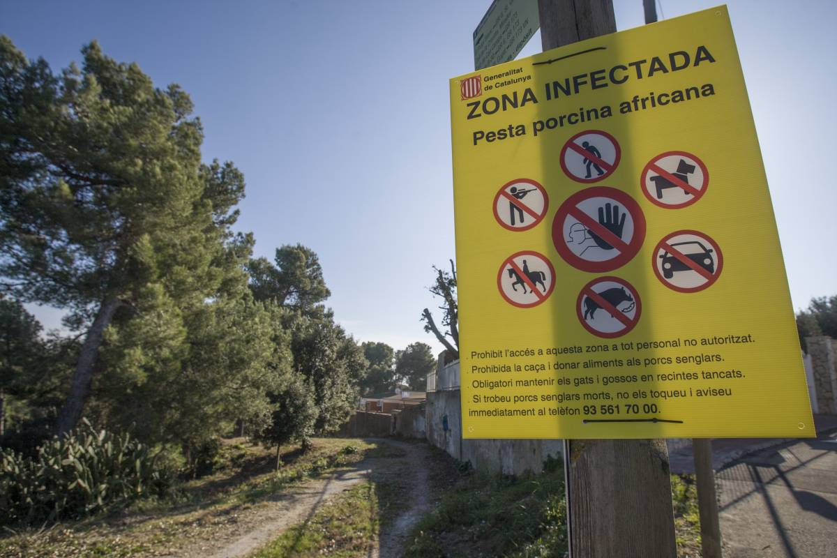 Castellbisbal, a la zona d’alt risc per PPA