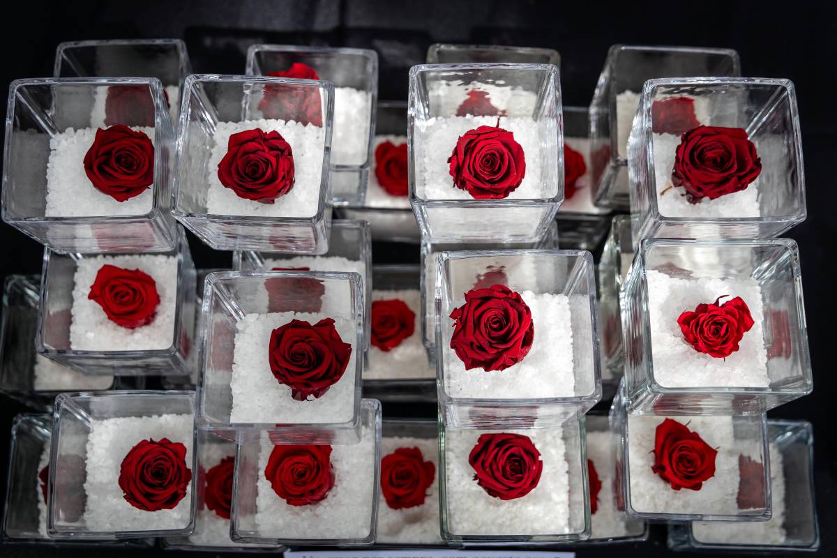 La Diada de Sant Jordi a Barcelona, en imatges