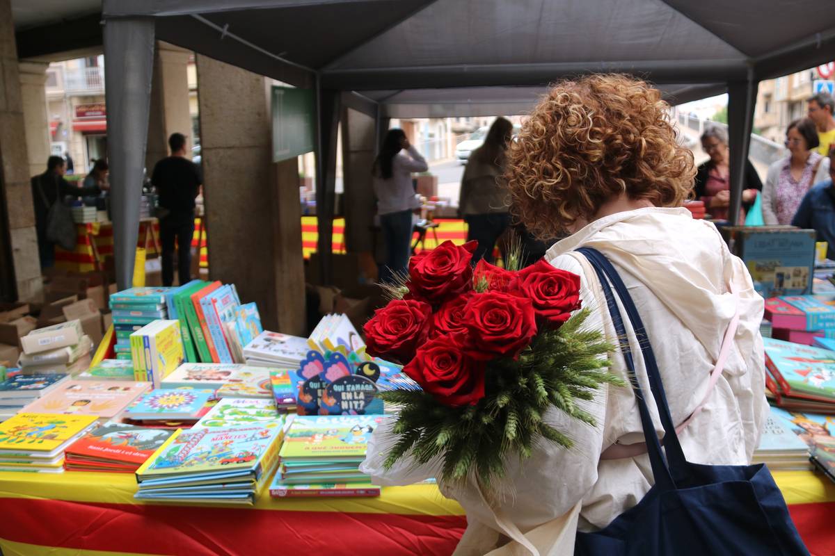 Desenes de parades omplen de color el centre històric de Tortosa per Sant Jordi
