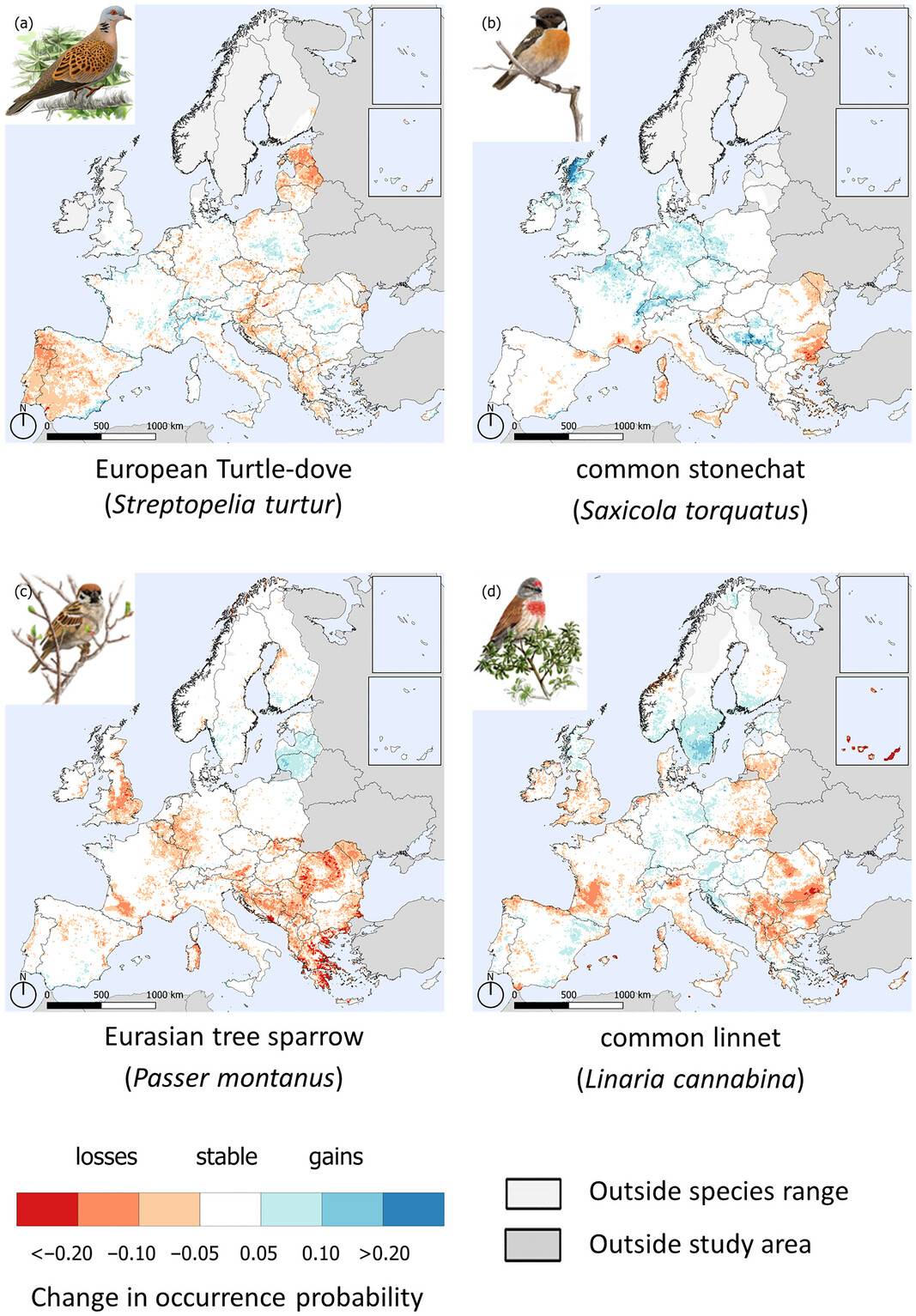 L`estudi destaca per l`elevada precisió del mapatge