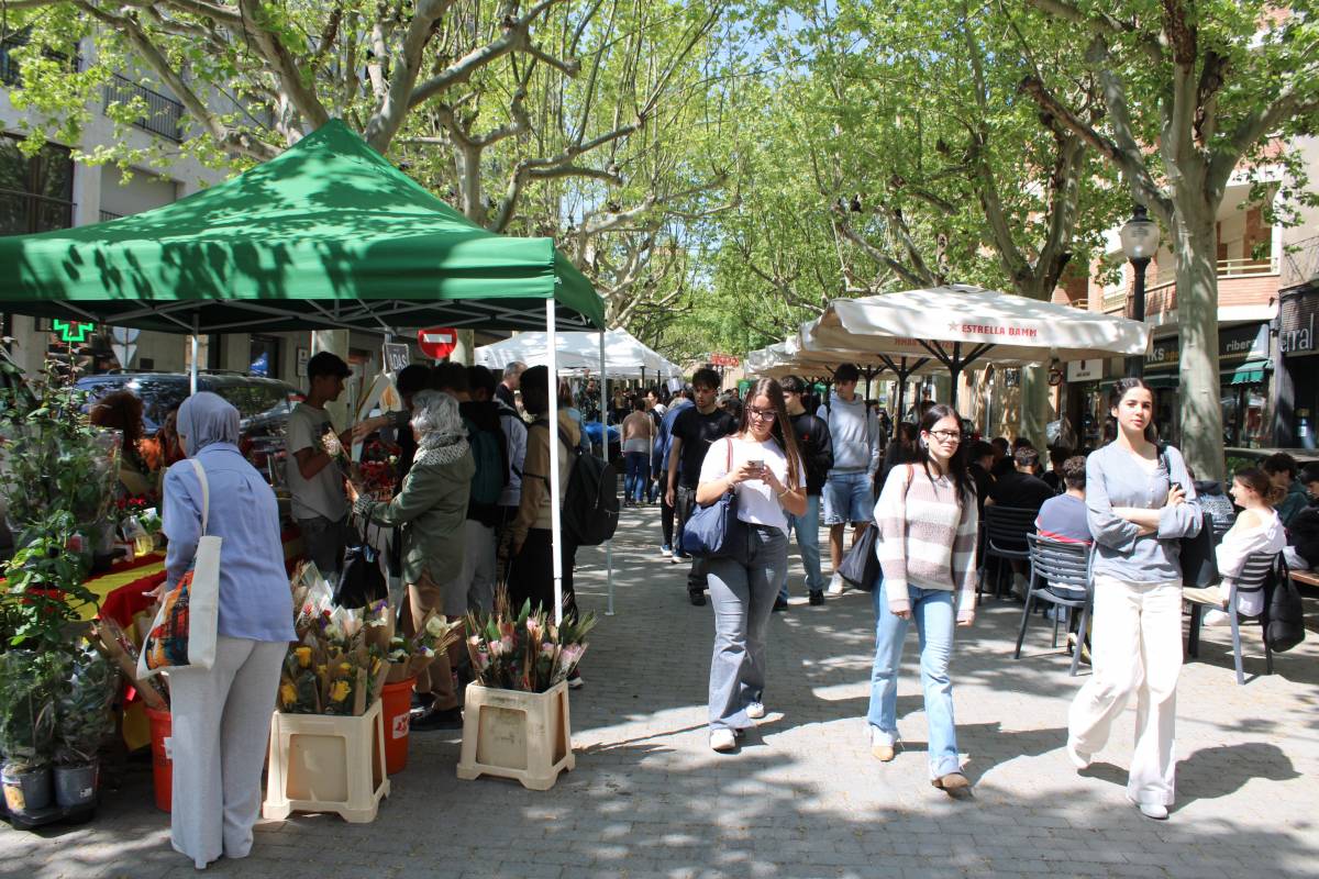 Imatges: La Diada de Sant Jordi a Solsona 