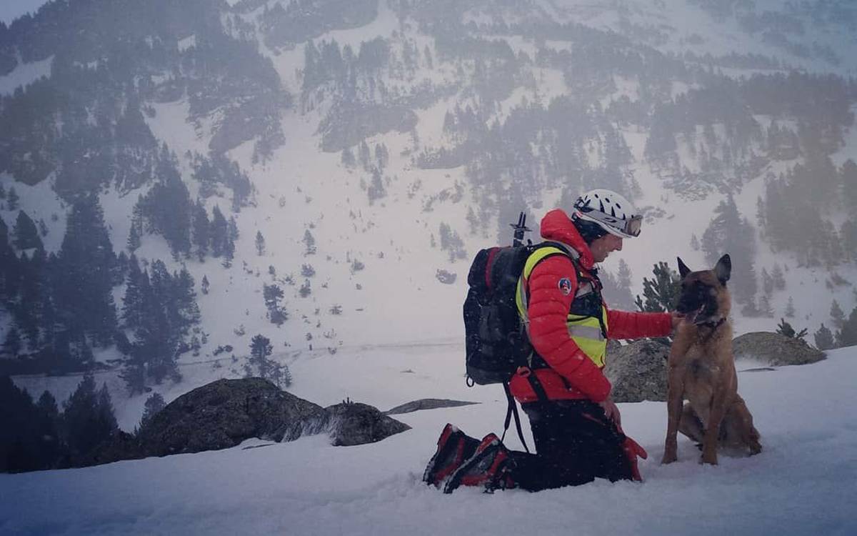 Els Bombers organitzen el Dia del Gos de Rescat al Parc de l'Agulla de Manresa