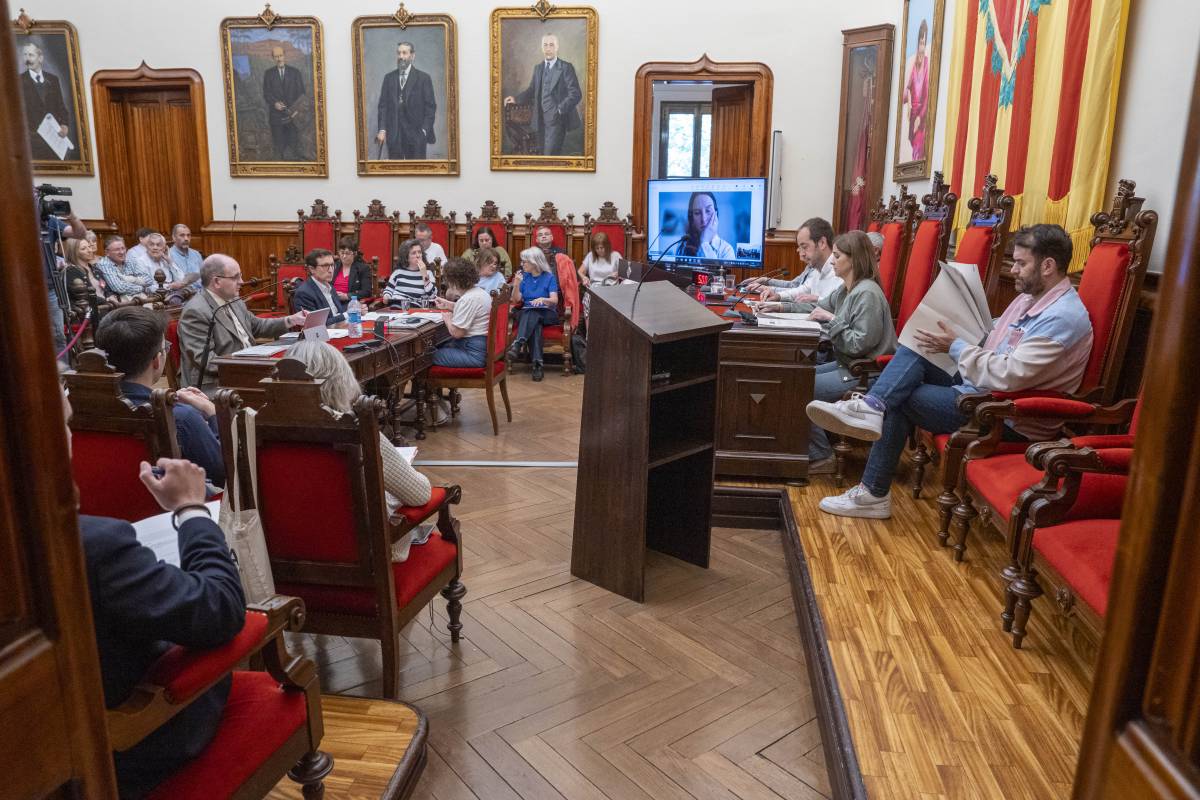 Unanimitat per frenar el monocultiu comercial i protegir les botigues de barri