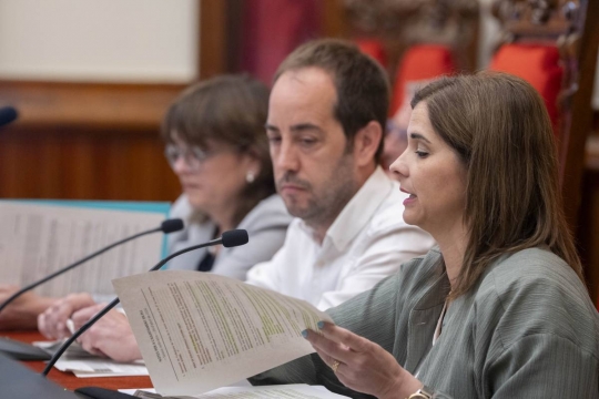 El ple aprova fer ús de 5,5 milions d'euros del romanent de tresoreria per millorar els carrers