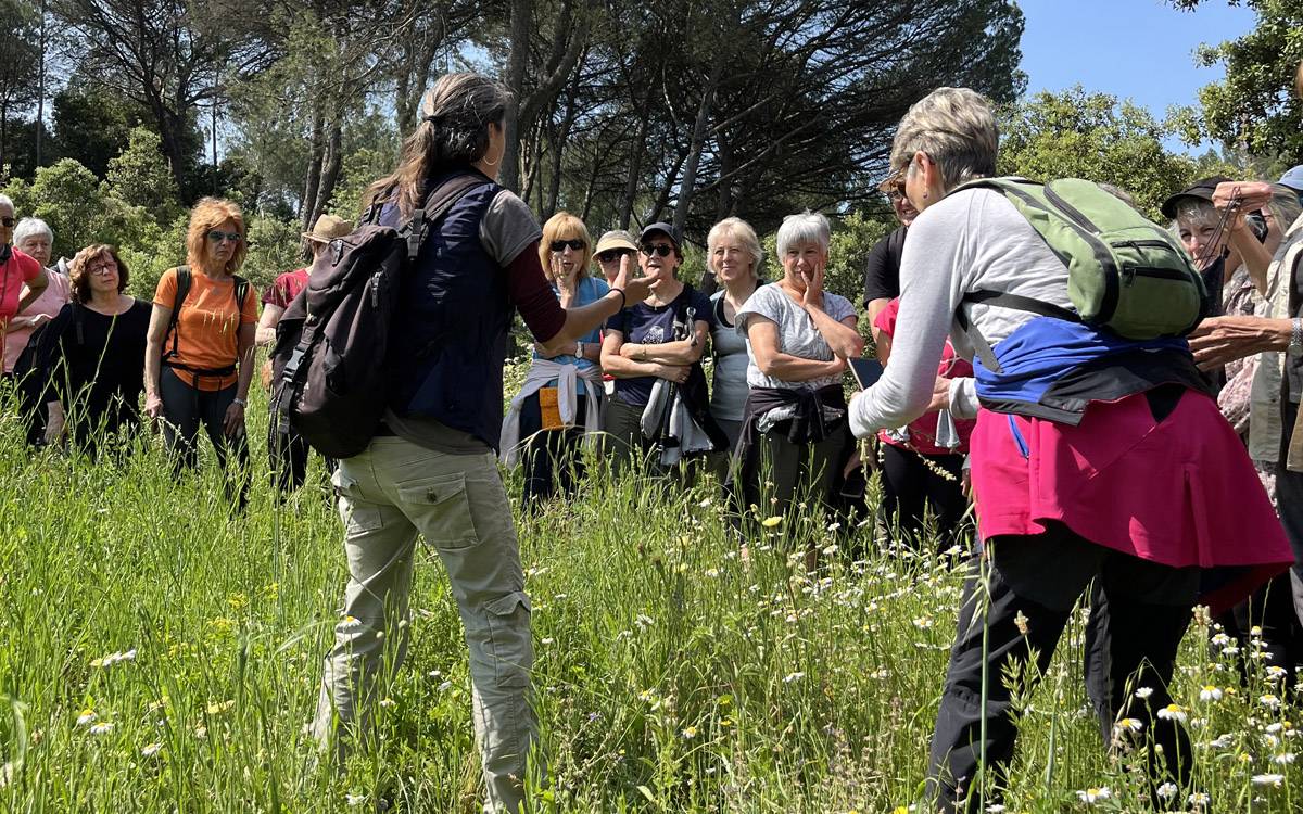 Meandre programa una passejada botànica i un taller a la Torre Lluvià