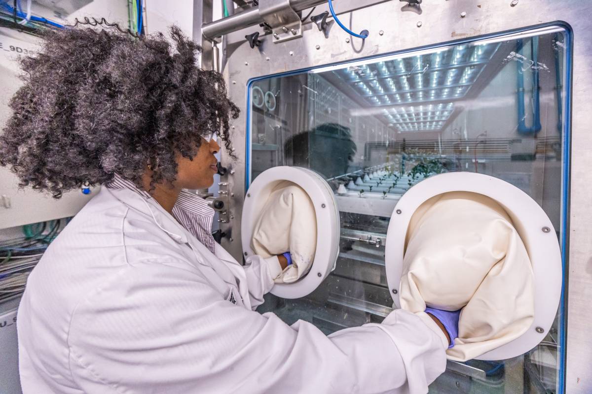 Matt Damon sobreviuria a Mart gràcies a una planta pilot vallesana: 