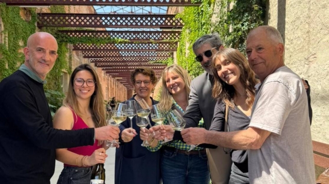 Neix el Vi Falcó, un projecte inclusiu entre Prodis i Can Morral del Molí