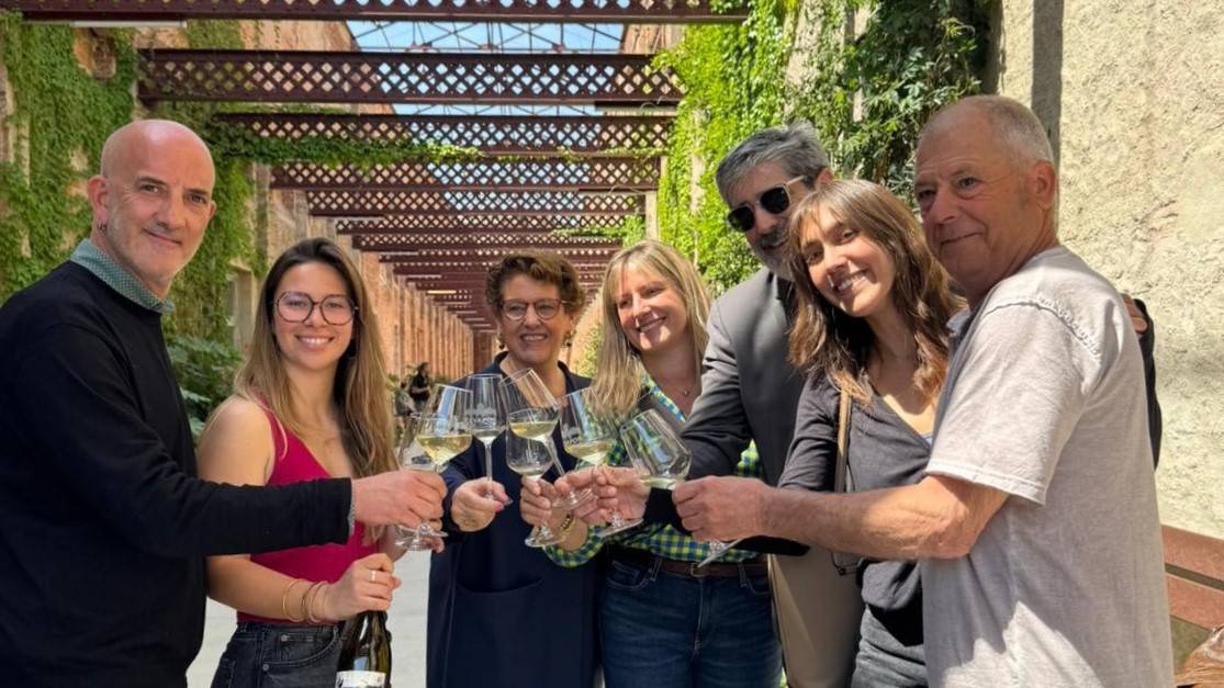 Neix el Vi Falcó, un projecte inclusiu entre Prodis i Can Morral del Molí