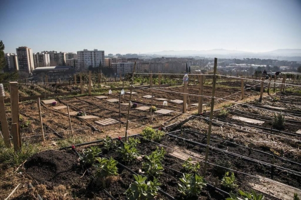 L’Ajuntament de Rubí adjudica 38 parcel·les dels horts municipals de Cova Solera