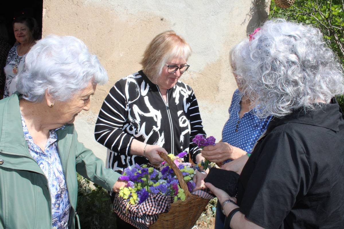 Aplec de Sant Pere Màrtir a Solsona  - Ramon Estany 